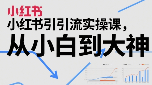 小红书引流实操课，从小白到大神-800资源网