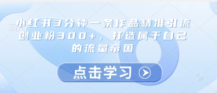 小红书3分钟一条作品精准引流创业粉300+，打造属于自己的流量帝国-800资源网