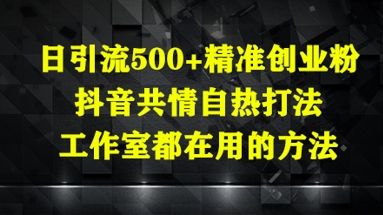 日引流500+精准创业粉，抖音共情自热打法，工作室都在用的方法-800资源网