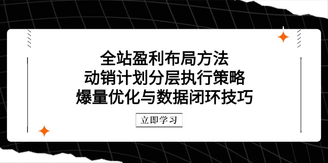 全站盈利布局方法：动销计划分层执行策略，爆量优化与数据闭环技巧-800资源网
