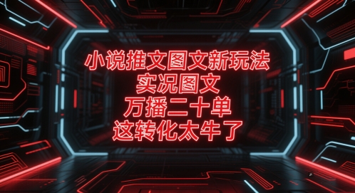 小说推文图文新玩法，实况图文，万播二十单，这转化太牛了！-800资源网