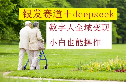 银发赛道+deepseek数字人全域变现，小白也能操作-800资源网