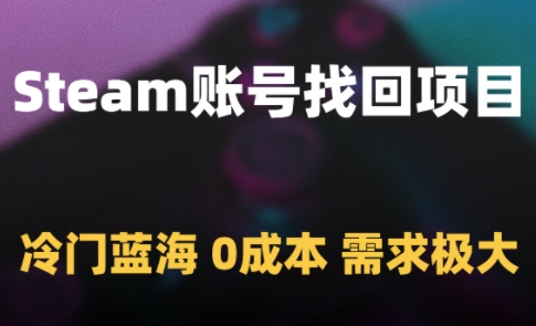 Steam账号找回项目，冷门蓝海，0成本，需求极大-800资源网