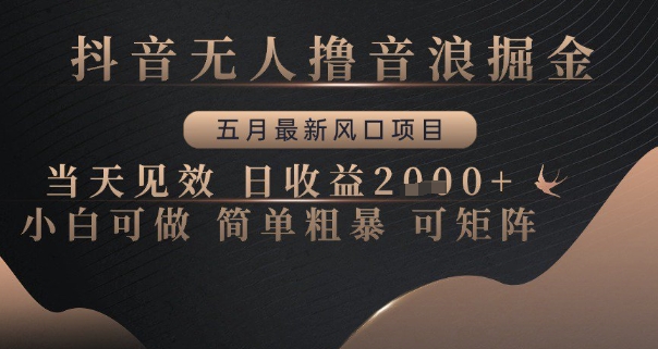 抖音无人撸音浪掘金，五月最新风口项目，当天见效，日收益多张，小白可做简单粗暴可矩阵-800资源网
