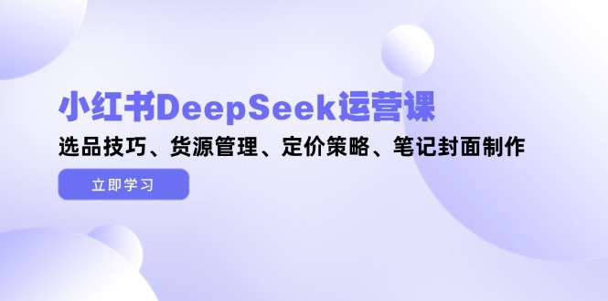 小红书DeepSeek运营课，选品技巧、货源管理、定价策略、笔记封面制作-800资源网