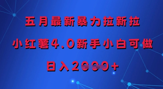 五月最新暴力拉新拉，小红薯4.0新手小白可做，日入多张-800资源网