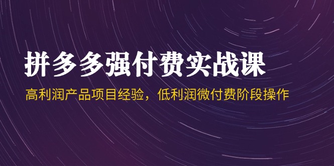 拼多多强付费实战课-44期，高利润产品项目经验，低利润微付费阶段操作-800资源网
