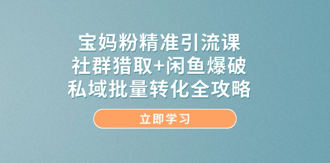 宝妈粉精准引流课，社群猎取+闲鱼爆破，私域批量转化全攻略-800资源网