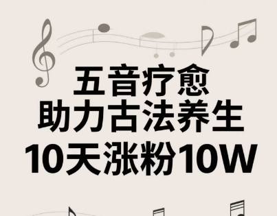 古法五音养生教程，五音疗愈的视频的制作方法，2-4小时就能学会，作者10天涨粉10W-800资源网