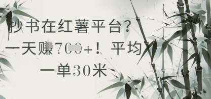 抄书在小红薯平台？平均一单30米，一天收益几张！-800资源网