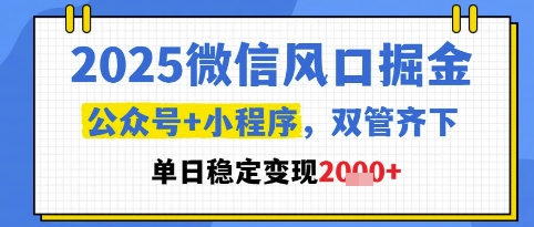 2025微信风口掘金，公众号+小程序双管齐下，单日稳定变现1k+-800资源网