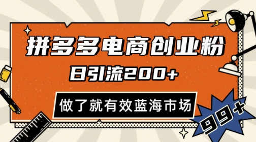 拼多多引流电商创业粉，日引200+，可矩阵放大，做了就有效-800资源网