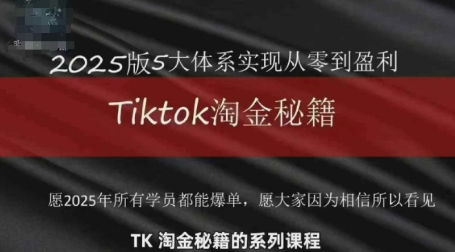 TikTok跨境2025淘金秘籍，​2025TikTok从0到盈利变现-800资源网