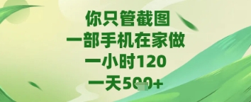 你只管截图，一部手机在家做，苹果安卓都可以，一天5张+-800资源网