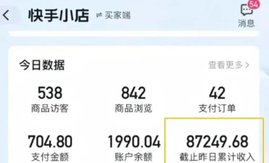 快手图文带货新玩法，用这个方法零门槛，6个月收入87249（保姆级详细教程）-800资源网