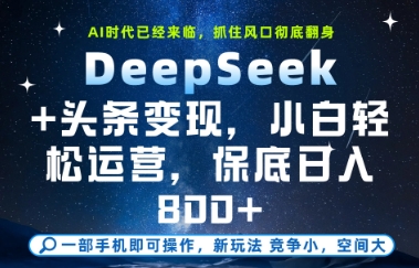 DeepSeek+头条变现，保姆级教学，小白轻松上手，日入8张+-800资源网