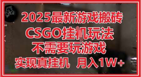 2025最新游戏搬砖，CSGO挂G，不需要玩游戏，实现真挂G，月入1W+-800资源网