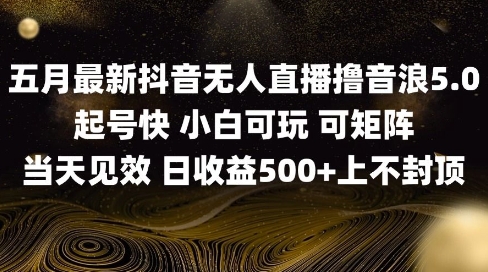 2025五月最新无人直播撸音浪单日产出5张+实操教程-800资源网