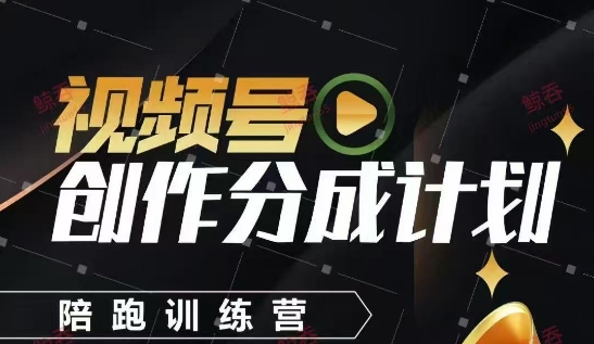 视频号创作分成计划陪跑训练营，手把手教会你如何制作视频，细水长流型项目-800资源网