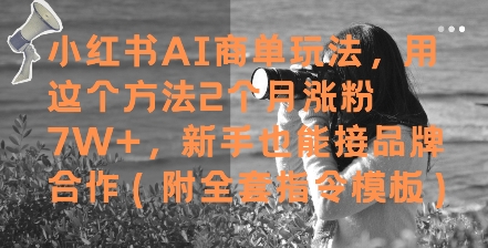 小红书AI商单玩法，用这个方法2个月涨粉7W+，新手也能接品牌合作(附全套指令模板)-800资源网