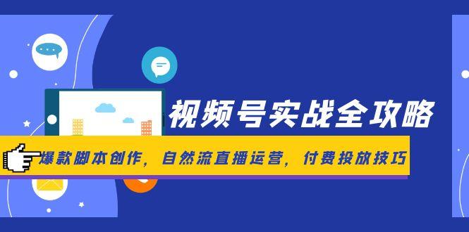 视频号实战全攻略，爆款脚本创作，自然流直播运营，付费投放技巧-800资源网