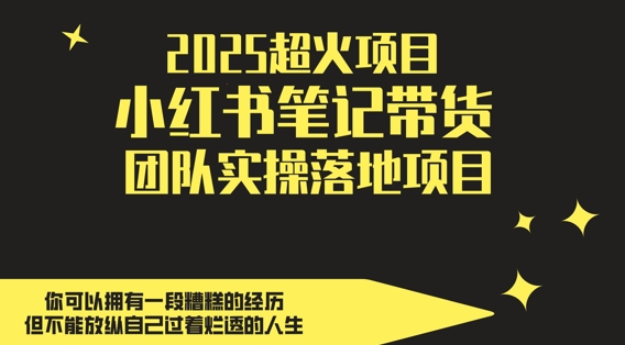2025超火项目，副业最佳选择，小红书笔记带货团队实操落地项目，，轻松日入5张-800资源网