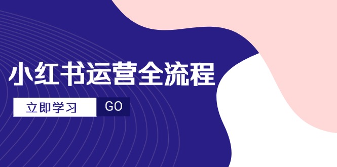 小红书运营全流程，爆款选题文案，视频制作技巧，进阶达人宝典-800资源网