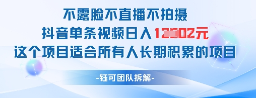 不露脸不直播不拍摄抖音单条视频日入1k+这个项目适合所有人长期积累的项目-800资源网