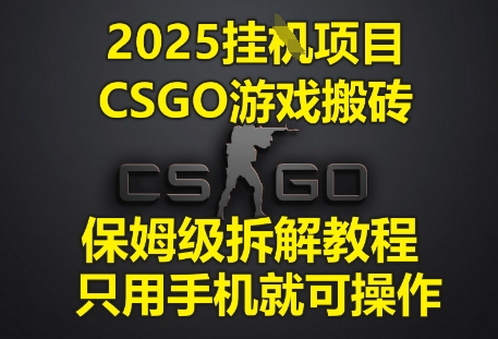 2025挂G项目，CSGO游戏搬砖，保姆级拆解教程，只用手机就可操作-800资源网