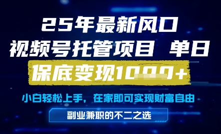 25年最新风口，视频号托管项目，单日保底变现1k+，手把手教学-800资源网