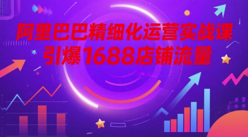 阿里巴巴精细化运营实战课，引爆1688店铺流量-800资源网