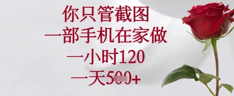 你只管截图，一部手机在家可以做，一小时120.一天5张+-800资源网