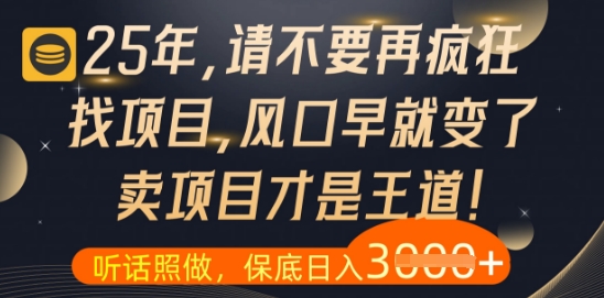 什么？25年你还在疯狂找项目做，醒醒吧，看完这些你全都懂了-800资源网