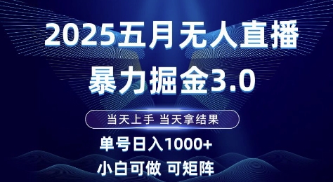 2025五月无人直播暴力掘金3.0，当天上手，当天拿结果，单号日入1k+小白可做可矩阵-800资源网