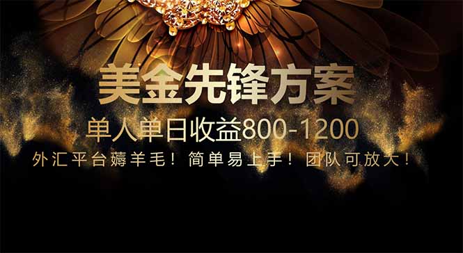 免费技术！小众赛道！一年布局抵三年努力，每日800+-800资源网