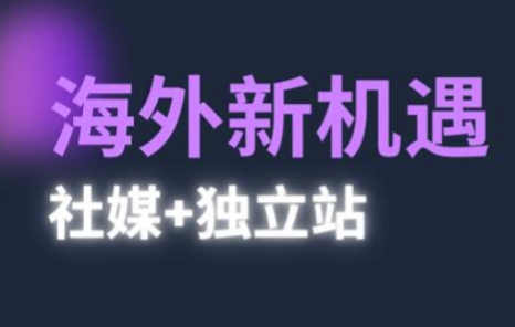 2025出海新机遇(社媒+独立站)，海外新机遇，实现独立站的高效运营与出海-800资源网