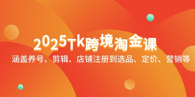 2025Tk跨境淘金课：涵盖养号、剪辑、店铺注册到选品、定价、营销等-800资源网