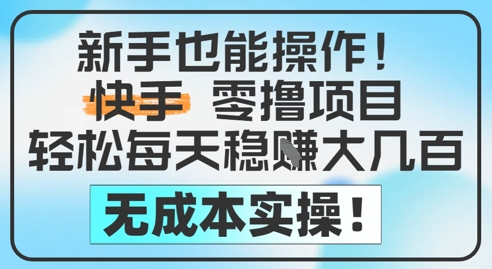 新手也能操作，快手零撸挣米，轻松每天挣2-5张，完全无成本-800资源网
