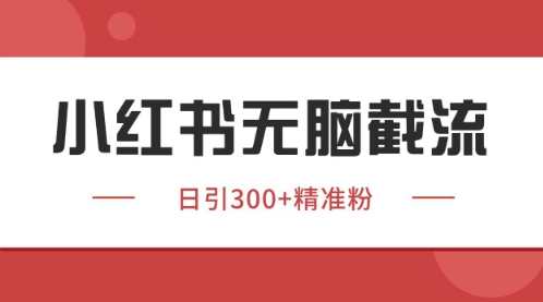 小红书只要你有同行就能获客，独家野路子获客玩法，暴力截流-800资源网