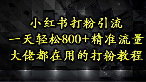 小红书打粉引流，一天轻松500+精准流量，大佬都在用的打粉教程-800资源网