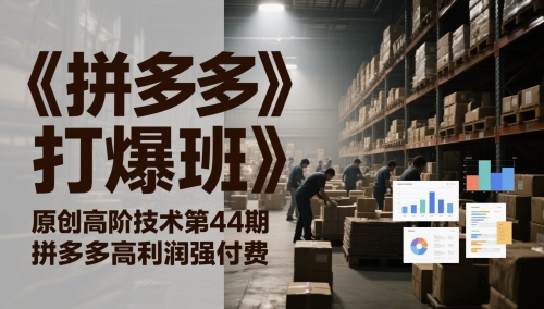 《拼多多打爆班》原创高阶技术第44期，拼多多高利润强付费-800资源网
