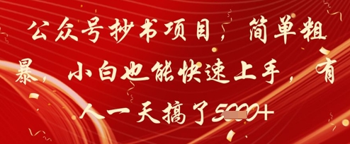 公众号抄书项目，简单粗暴，小白也能快速上手，有人一天搞了1k+-800资源网