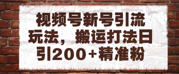 视频号新号引流玩法，搬运打法日引200+精准粉，可矩阵放大-800资源网