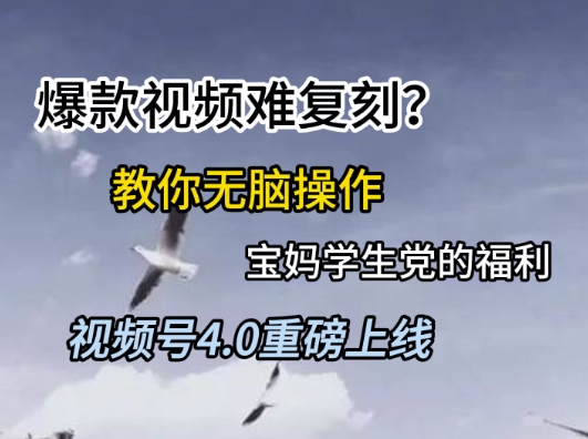 视频号4.0重磅上线，爆款视频难复刻？教你无脑操作宝妈学生党的福利-800资源网