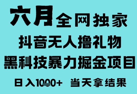 25年6月高爆抖音无人直播最新撸音浪掘金项目，门槛低小白可做，无脑日入1k，可矩阵放大-800资源网