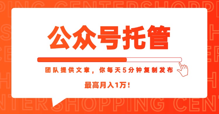 【公众号托管 】我提供文章，你每天５分钟复制发布，最高月入1W-800资源网