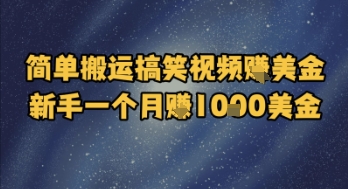 简单搬运搞笑视频挣美金，新手一个月入1k美金-800资源网