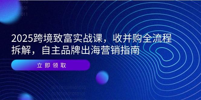 2025跨境致富实战课，收并购全流程拆解，自主品牌出海营销指南-800资源网