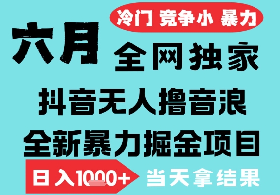 2025年6月高爆抖音无人直播最新撸音浪掘金项目，无脑日入1k+，低门槛小白可做，可矩阵放大-800资源网