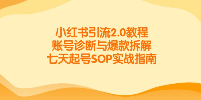 小红书引流2.0教程，账号诊断与爆款拆解，七天起号SOP实战指南-800资源网
